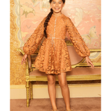 Esme Embroidered Sleeve Mini Dress - Cinnamon