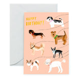 Out for a Walk - Birthday Card
