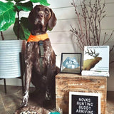 Good Luck Hunters Children's Book