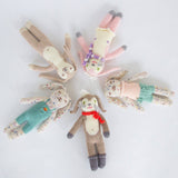 Bunny Rattle Lettuce