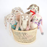 Bunny Rattle Lettuce