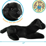 Blythe The Black Lab Stuffed Animal Plush