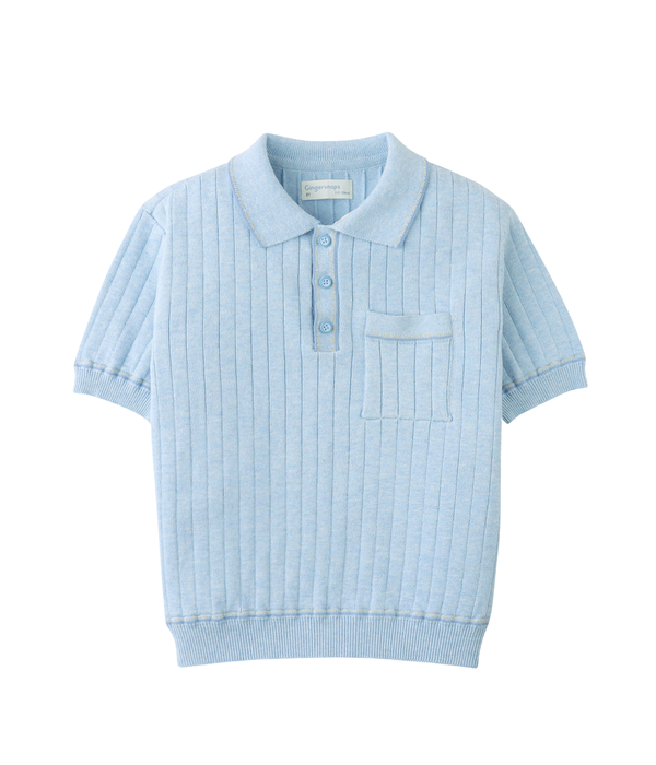 Boy Reiner Polo Shirt With Stripe Tipping Accents - Blue