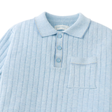 Boy Reiner Polo Shirt With Stripe Tipping Accents - Blue