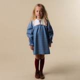 Catherina Embroidered Dress