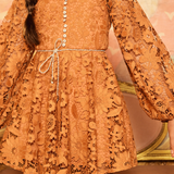 Esme Embroidered Sleeve Mini Dress - Cinnamon
