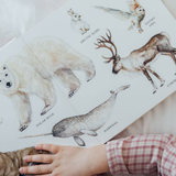 Our Big Book of Animals