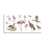 Our Big Book of Animals