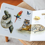 Our Big Book of Animals