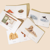 Our Little Library Vol. 2