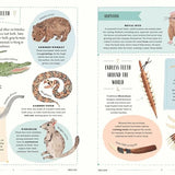 Wild: A Family Guide to the Animal Kingdom