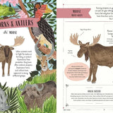 Wild: A Family Guide to the Animal Kingdom