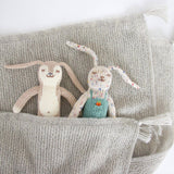 Bunny Rattle Lettuce