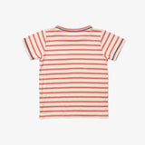 Organic Willie Tee - Red Stripe