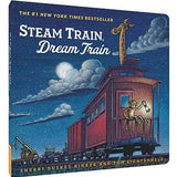 Steam Train, Dream Train